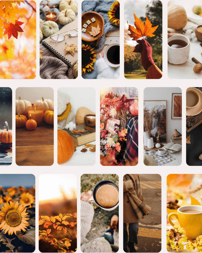 120+ Fall Reels & Story Posts